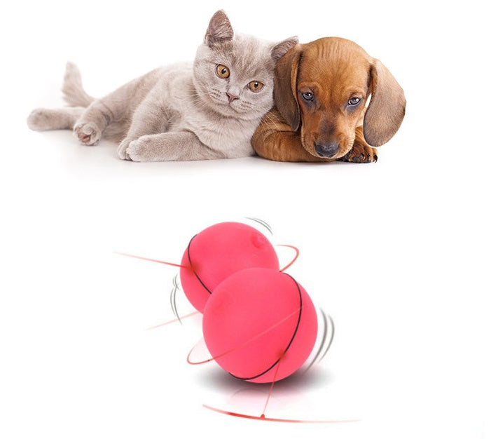 LED Laser Rolling Cat Toy Ball by Wowza Finds
