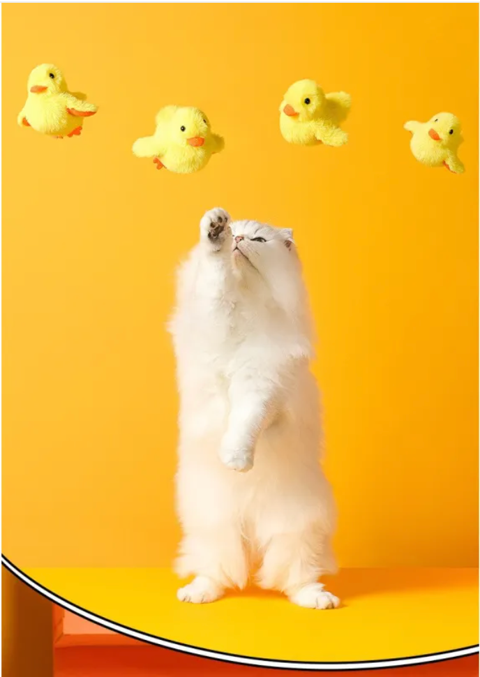 Automatic Electric Duck Cat Toy by Wowza Finds