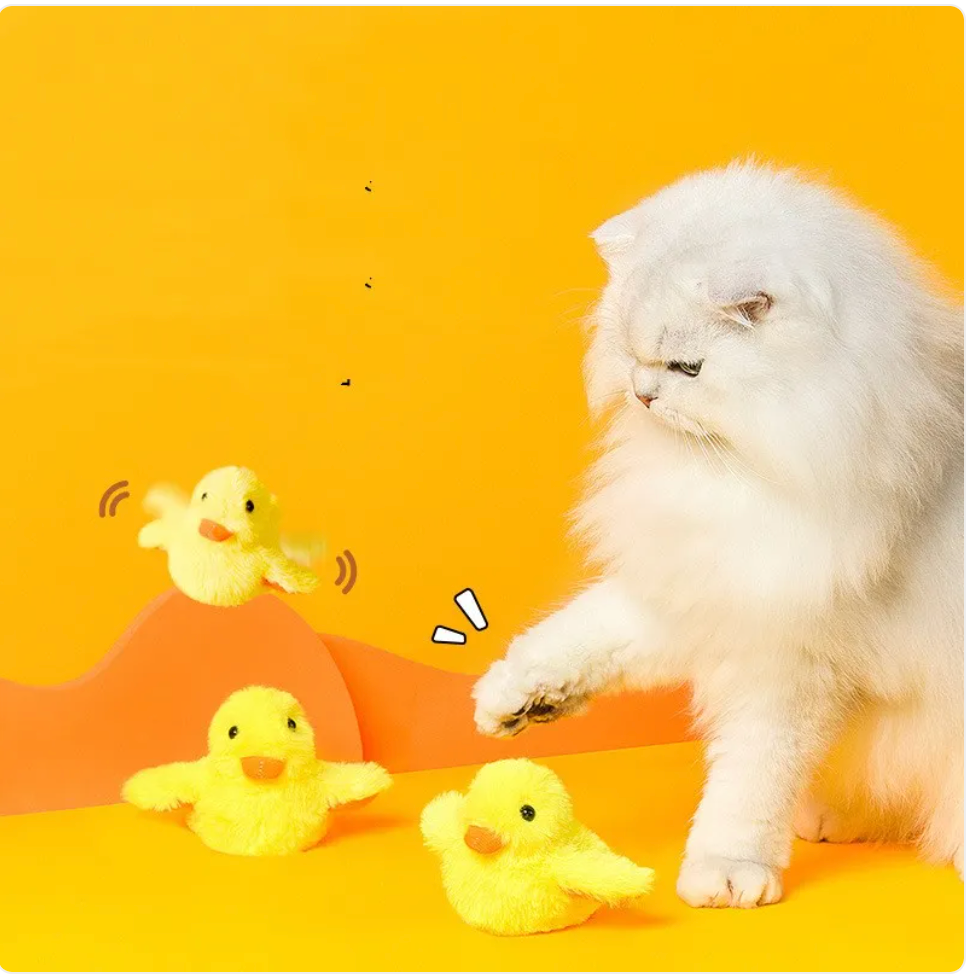 Automatic Electric Duck Cat Toy by Wowza Finds