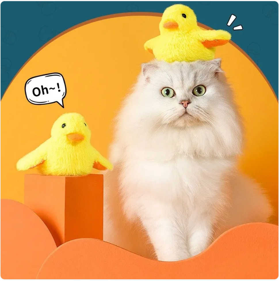 Automatic Electric Duck Cat Toy by Wowza Finds