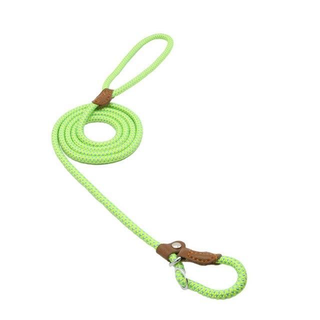 Nylon Pup Set by Wowza Finds