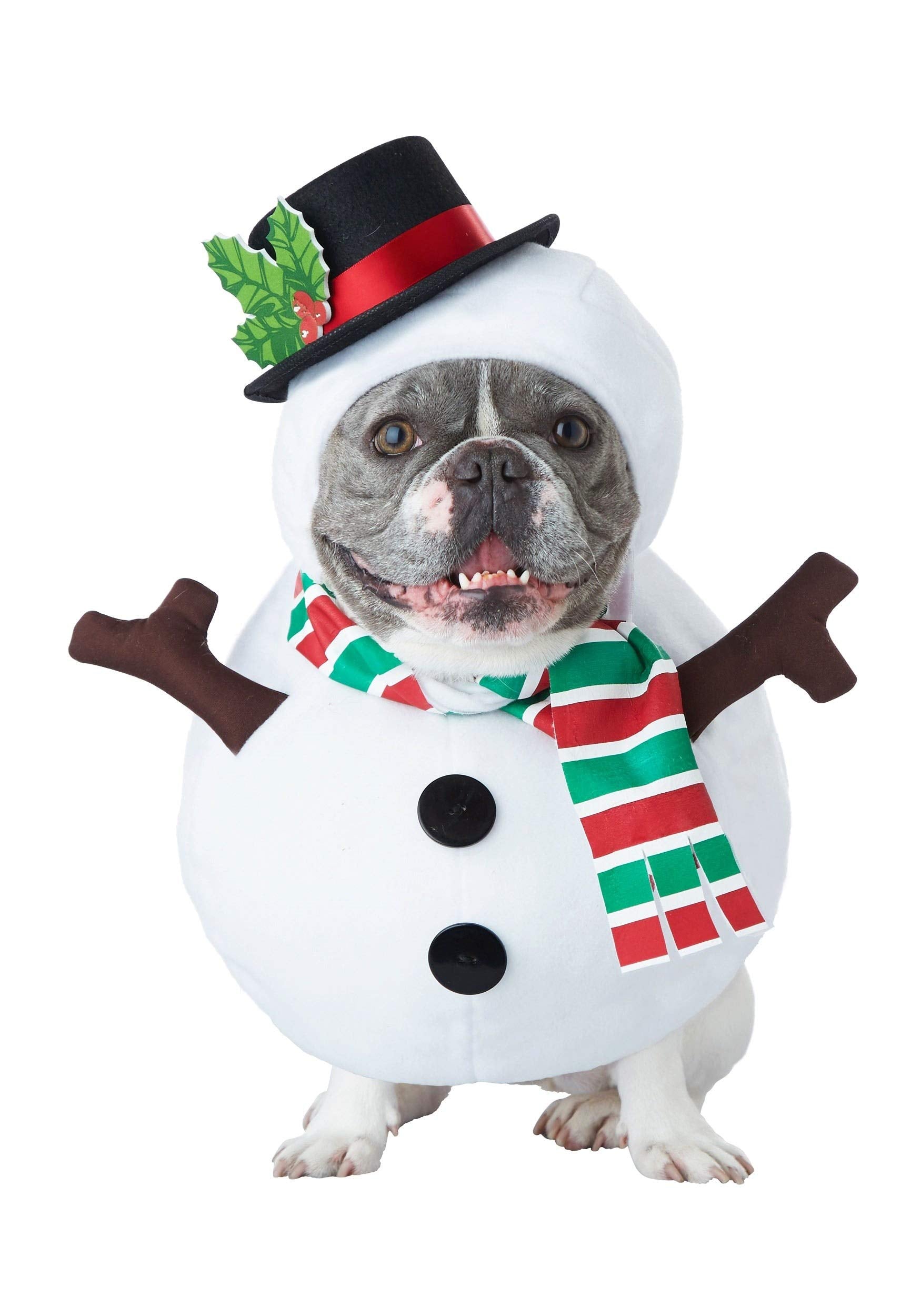 California Costumes Dog Snowman Costume - X-Small - White by Wowza Finds