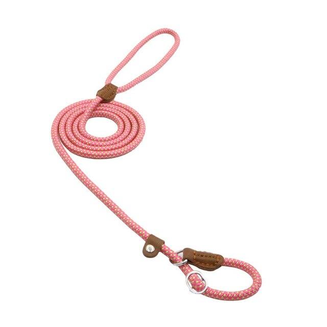 Nylon Pup Set by Wowza Finds