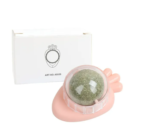Mint Rotating Cat Toy by Wowza Finds