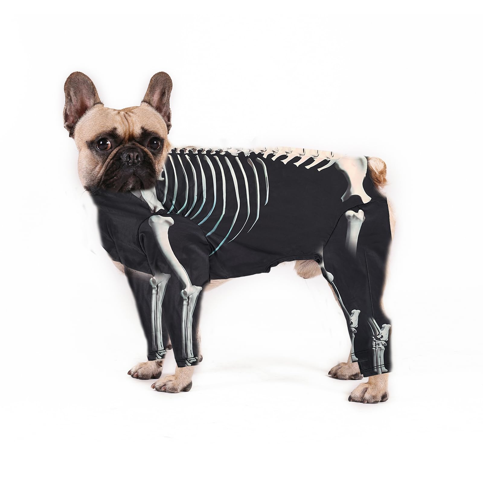 Harikaji Halloween Dog Costumes Dog Jumpsuit Halloween Skeleton Costumes Cosplay Sweatshirt Funny Dress Up Apparel Clothes for Small Dogs Cats M by Wowza Finds