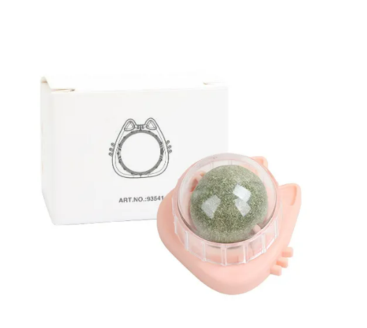 Mint Rotating Cat Toy by Wowza Finds