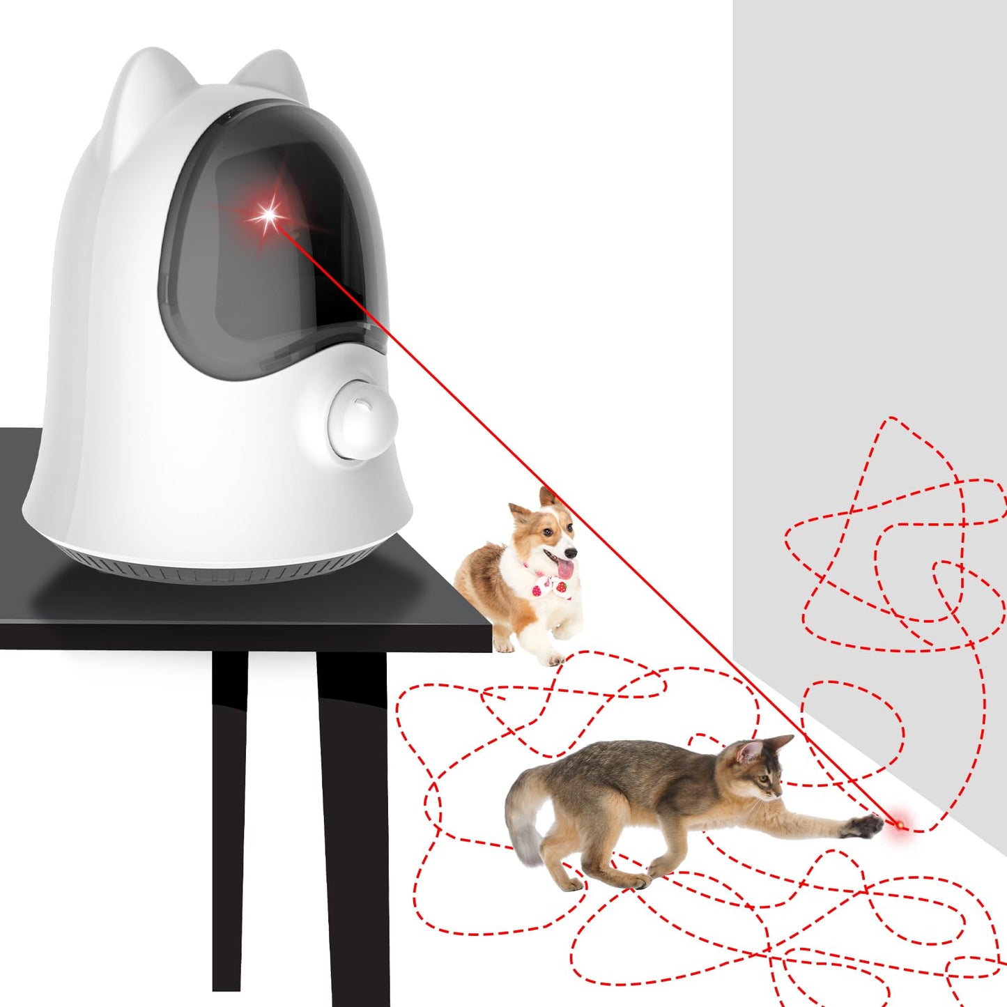 Interactive Cat Laser Toy by Wowza Finds