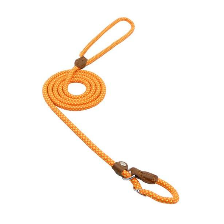 Nylon Pup Set by Wowza Finds