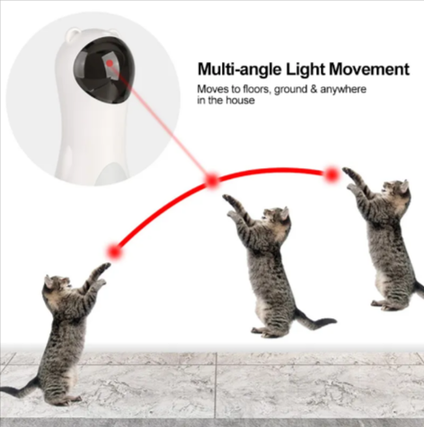 Automatic Bear Laser Cat Toy by Wowza Finds