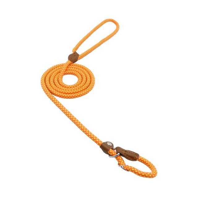 Nylon Pup Set by Wowza Finds