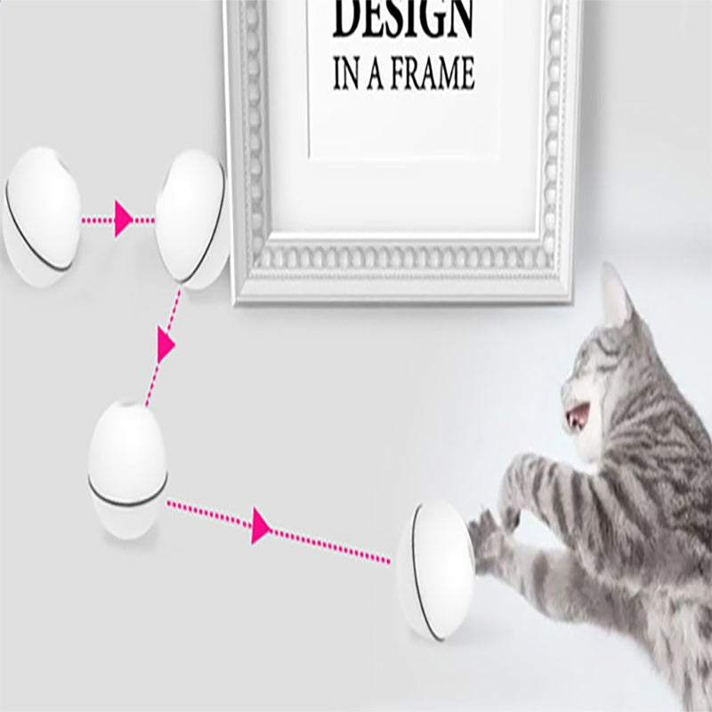LED Laser Rolling Cat Toy Ball by Wowza Finds