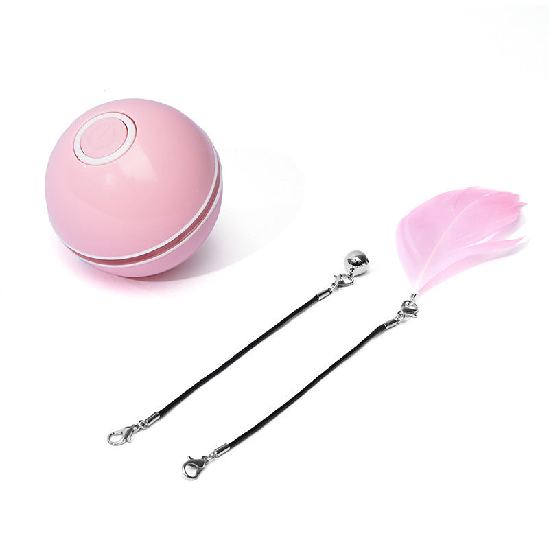 LED Laser Rolling Cat Toy Ball by Wowza Finds
