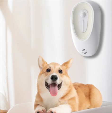 Pet Odor Eliminator for Litter Boxes by Wowza Finds