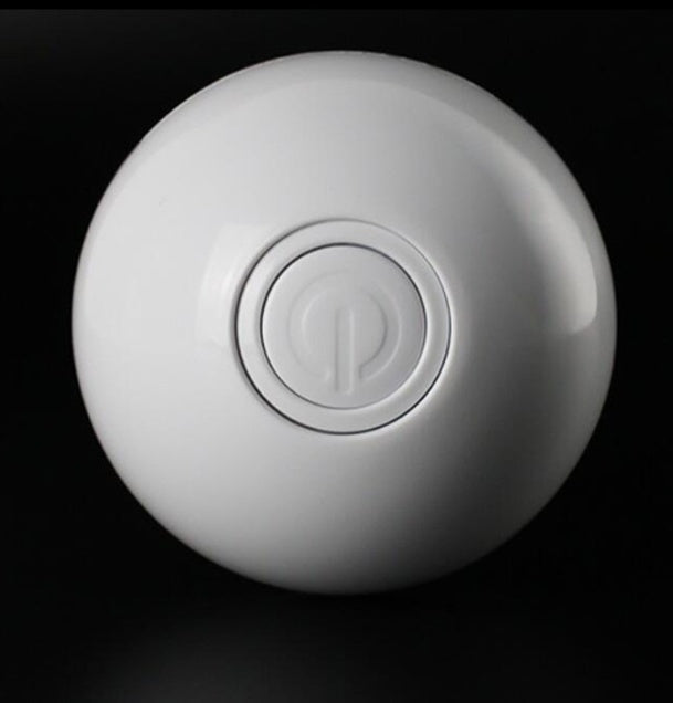LED Laser Rolling Cat Toy Ball by Wowza Finds