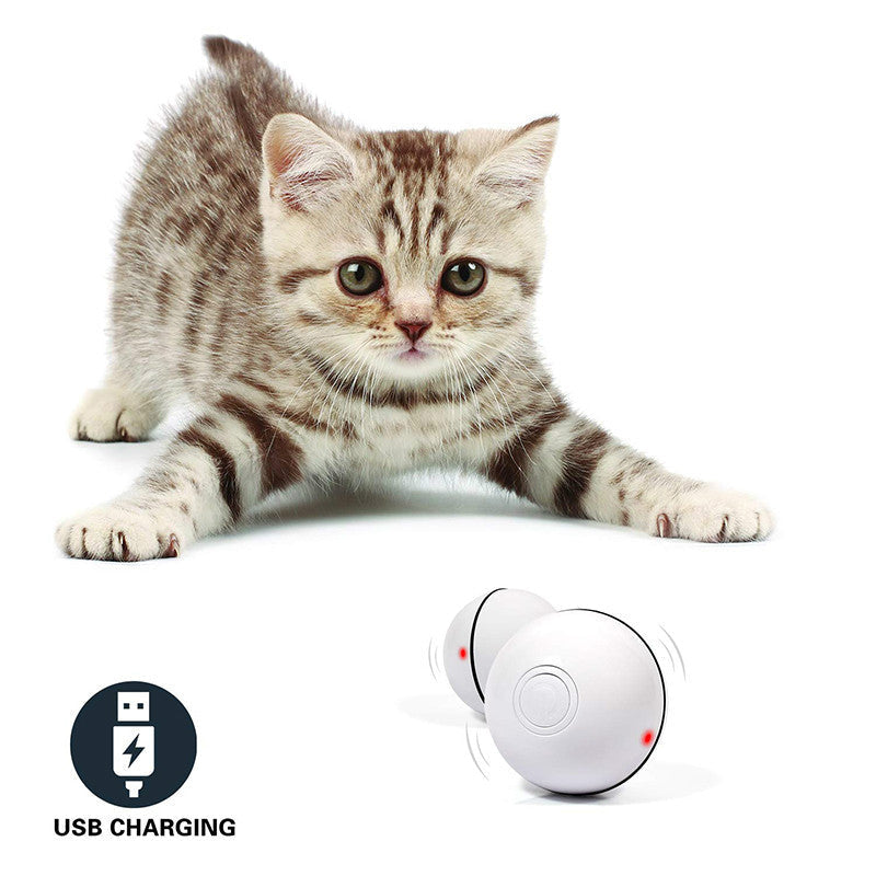 LED Laser Rolling Cat Toy Ball by Wowza Finds