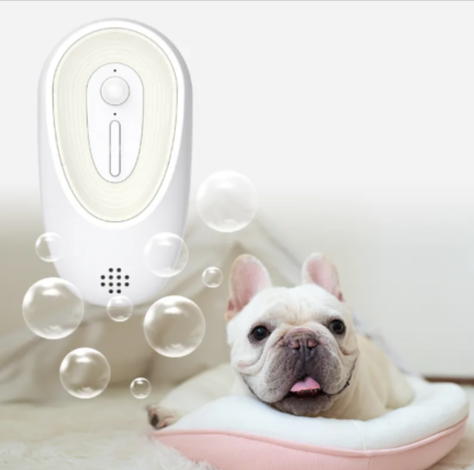 Pet Odor Eliminator for Litter Boxes by Wowza Finds